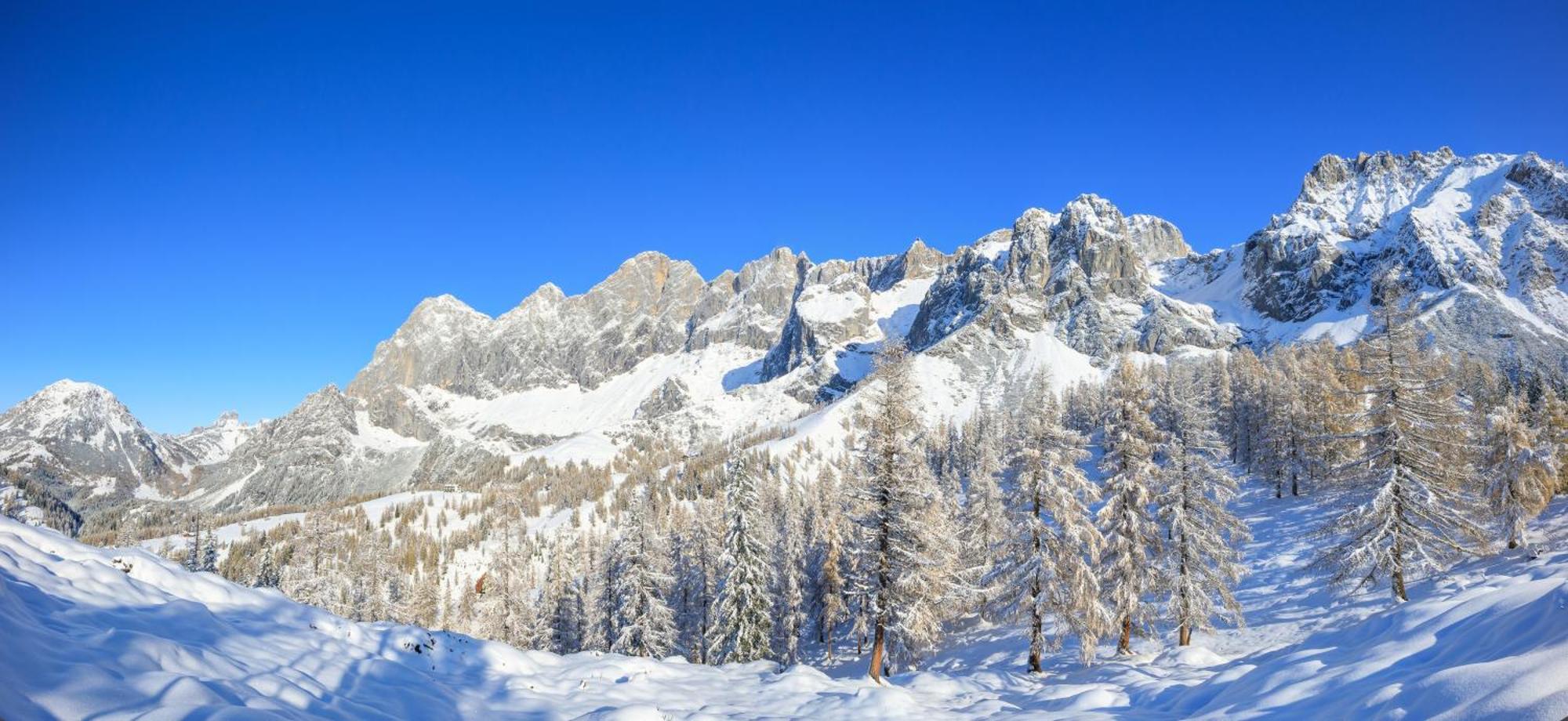 Landhaus Wieser Ramsau am Dachstein Eksteriør bilde